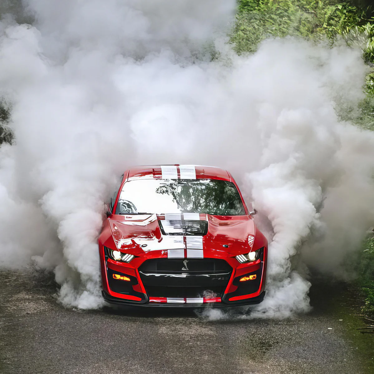 Prolube burnout gt500