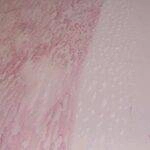 Meguiars-Iron-Removing-Spray-Clay3